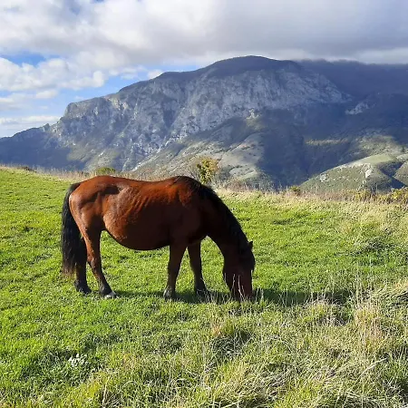 לינה וארוחת בוקר Monterosso 3*