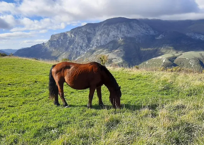 Bed & Breakfast Monterosso 3*